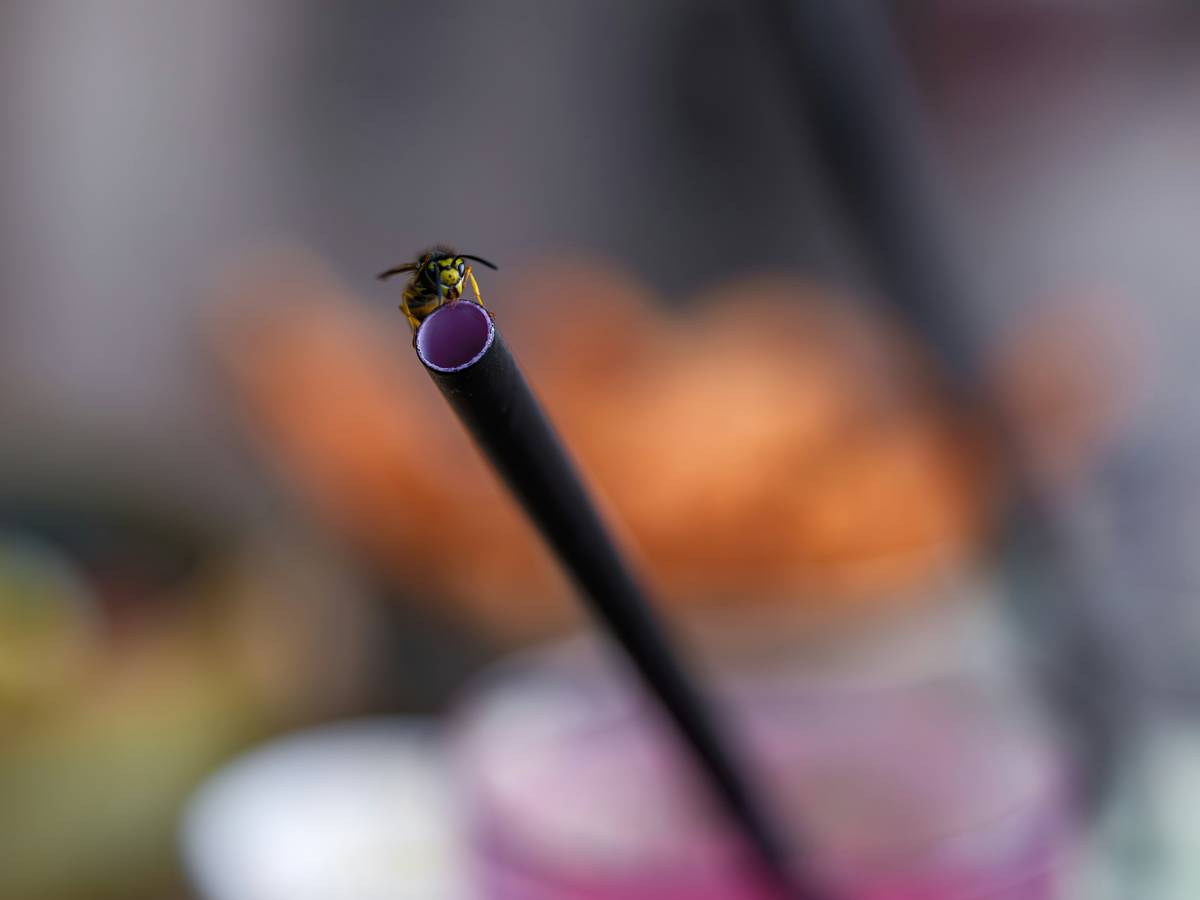 Side-by-side comparison showing a colorful glass straw next to a certified pet-safe silicone chew toy, highlighting sharp edges vs. soft texture