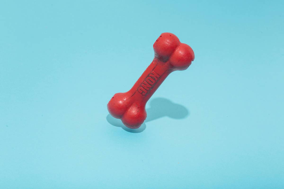 Why Your Pet Deserves a Glass Toy Creative Pattern—And How to Choose One Safely